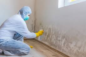 Best Commercial Mold Inspection  in Ainsworth, NE